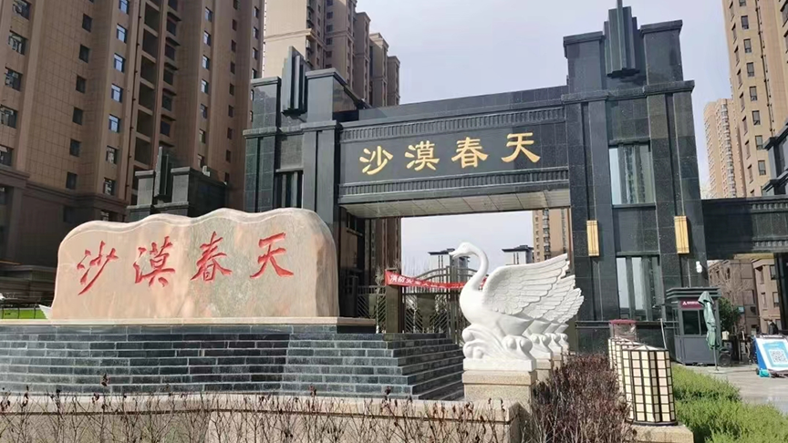 榆林沙漠春天项目